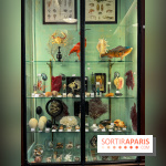Deyrolle, l'incroyable cabinet de curiosités à Paris - nos photos