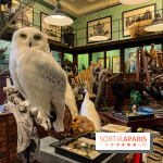 Deyrolle, l'incroyable cabinet de curiosités à Paris - nos photos