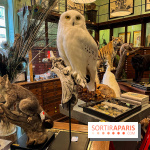 Deyrolle, l'incroyable cabinet de curiosités à Paris - nos photos