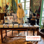 Deyrolle, l'incroyable cabinet de curiosités à Paris - nos photos