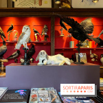 Deyrolle, l'incroyable cabinet de curiosités à Paris - nos photos