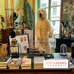 Deyrolle, l'incroyable cabinet de curiosités à Paris - nos photos