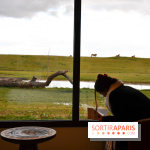 Le Royaume des Lions, l'hôtel immersif à la Lumigny Safari Reserve - nos photos - C46526C1 A8FD 4F28 9DED F6B5DC426CB1