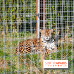 Lumigny Safari Reserve - nos photos