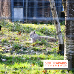 Lumigny Safari Reserve - nos photos