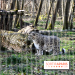 Lumigny Safari Reserve - nos photos - image00043