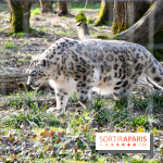 Lumigny Safari Reserve - nos photos