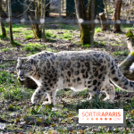 Lumigny Safari Reserve - nos photos