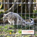 Lumigny Safari Reserve - nos photos