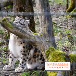 Lumigny Safari Reserve - nos photos