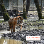 Lumigny Safari Reserve - nos photos
