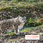 Lumigny Safari Reserve - nos photos - image00034