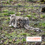 Lumigny Safari Reserve - nos photos - image00035