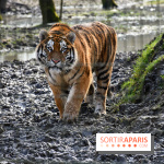 Lumigny Safari Reserve - nos photos - image00030