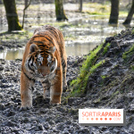 Lumigny Safari Reserve - nos photos