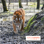 Lumigny Safari Reserve - nos photos - image00028