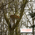 Lumigny Safari Reserve - nos photos - image00029