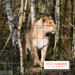 Lumigny Safari Reserve - nos photos - image00024