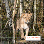 Lumigny Safari Reserve - nos photos