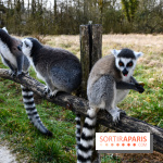 Lumigny Safari Reserve - nos photos - image00017