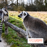 Lumigny Safari Reserve - nos photos