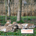 Lumigny Safari Reserve - nos photos