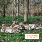 Lumigny Safari Reserve - nos photos - image00010