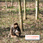 Lumigny Safari Reserve - nos photos - image00011