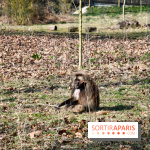 Lumigny Safari Reserve - nos photos - image00012