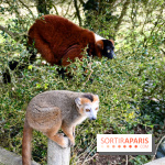 Lumigny Safari Reserve - nos photos - image00007