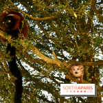 Lumigny Safari Reserve - nos photos - image00008