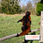 Lumigny Safari Reserve - nos photos - image00004