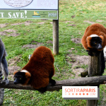 Lumigny Safari Reserve - nos photos - image00005