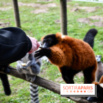 Lumigny Safari Reserve - nos photos - image00006