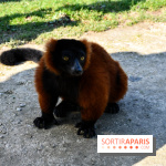 Lumigny Safari Reserve - nos photos - image00001