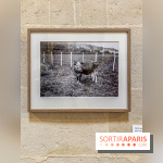 Zola photographe : l'exposition à l'Espace Richaud, à Versailles