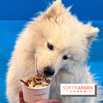 Je T'aime Comme Un Chien : food, mode, déco ... une expo qui a du chien au Bon Marché Rive Gauche - image00030