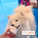 Je T'aime Comme Un Chien : food, mode, déco ... une expo qui a du chien au Bon Marché Rive Gauche - image00033