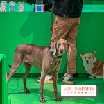 Je T'aime Comme Un Chien : food, mode, déco ... une expo qui a du chien au Bon Marché Rive Gauche - image00063