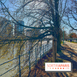 Île aux Cygnes - IMG 9071