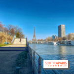Île aux Cygnes