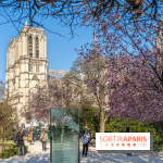 Le Square Viviani devant Notre-Dame de Paris