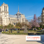 Le Square Viviani devant Notre-Dame de Paris