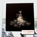 Street Nature Forte, nos photos de l'exposition - Street Nature Forte 9 fotor 20250320161815