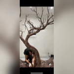 Printemps Canopee Kristaline - CANOPEE LARMES 6  GAEL CLAVIERE @DR