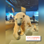 Déserts : l'exposition scientifique se dévoile au Muséum d'Histoire naturelle de Paris - fotor 1743502292036