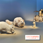 Déserts : l'exposition scientifique se dévoile au Muséum d'Histoire naturelle de Paris - fotor 1743502140796