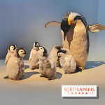 Déserts : l'exposition scientifique se dévoile au Muséum d'Histoire naturelle de Paris