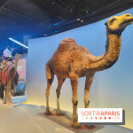 Déserts : l'exposition scientifique se dévoile au Muséum d'Histoire naturelle de Paris