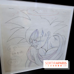 Rêves de Japon, nos photos de l'exposition à voir à Rueil-Malmaison - Rêves de Japon 19 fotor 20250401193842